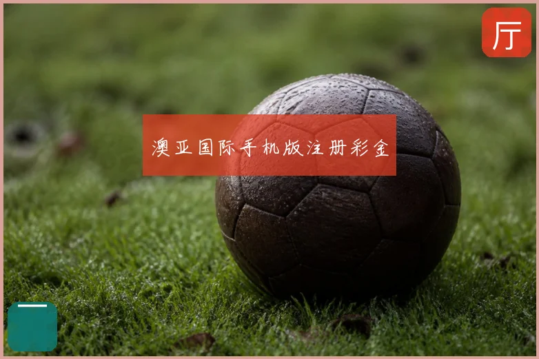 澳亚国际手机版注册彩金